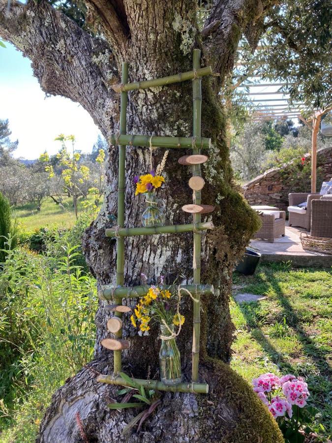 Bed and Breakfast Porturama Mouronho Exterior foto