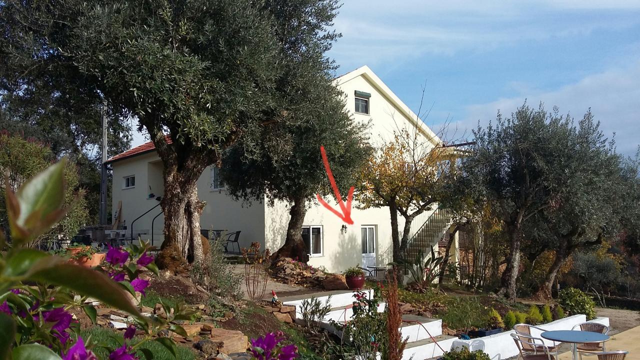 Bed and Breakfast Porturama Mouronho Exterior foto